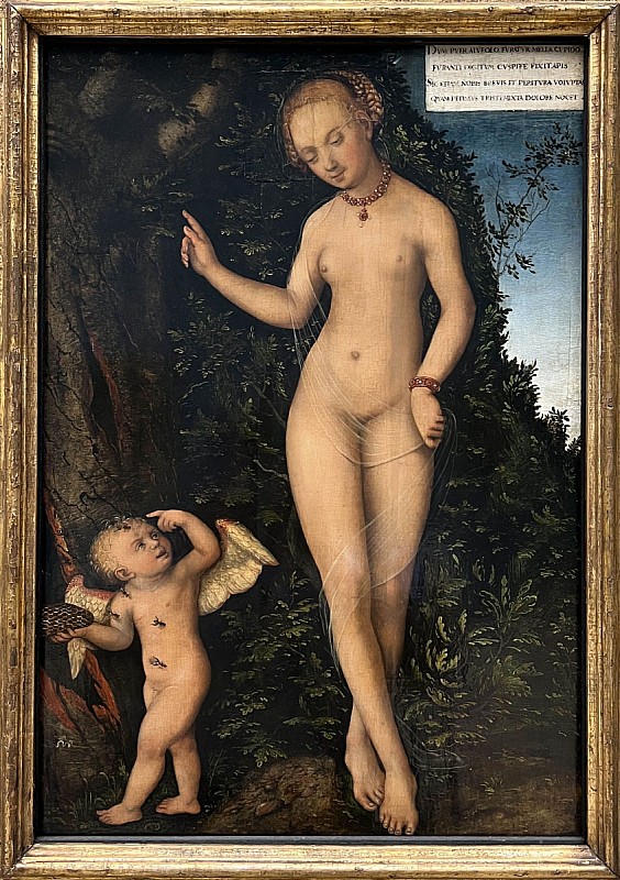 Lucas Cranach — Vénus et Cupidon voleur (version 2), 1537